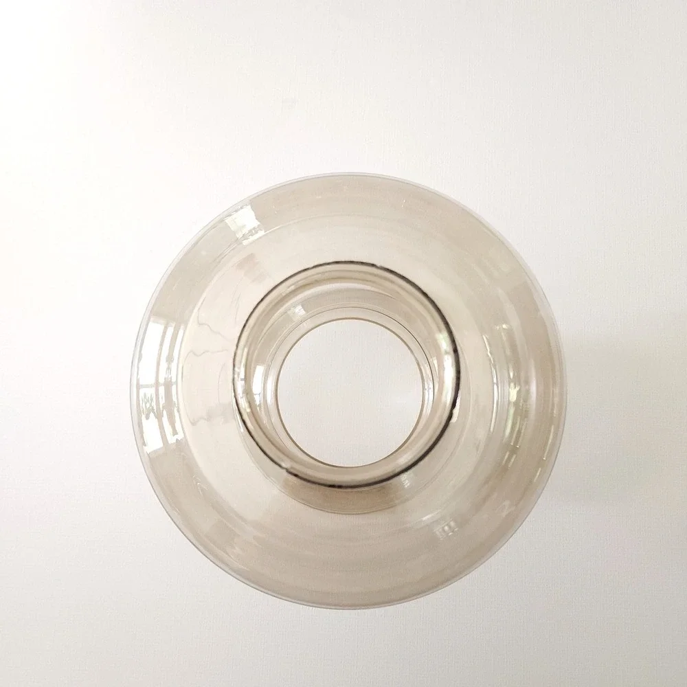 Vintage Smoked‎ Glass Lamp Shade 3